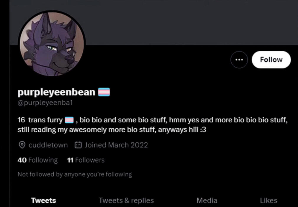 Purpleyeenba account.